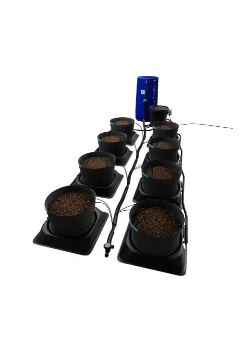 IWS - Dripper - Standard - Large