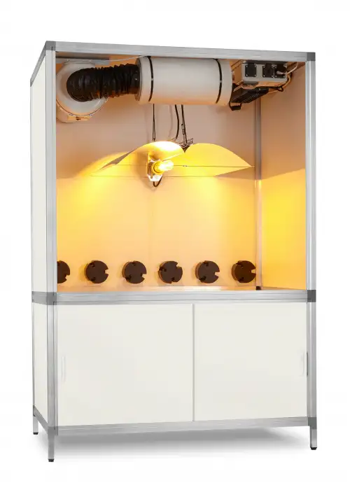 Bonanza 600 dimmable (1m2)