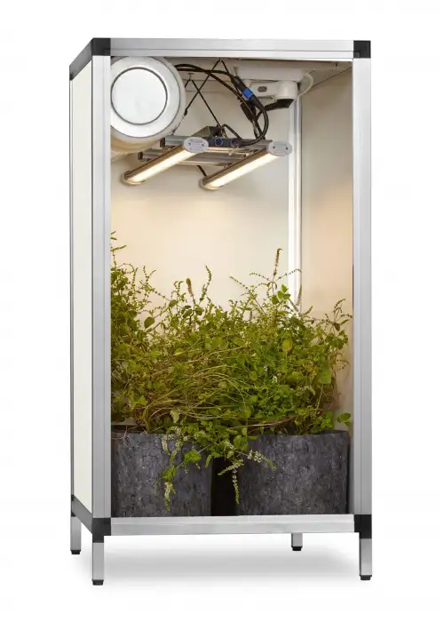 Bonanza G-bars 100W bench model(0,35m2)