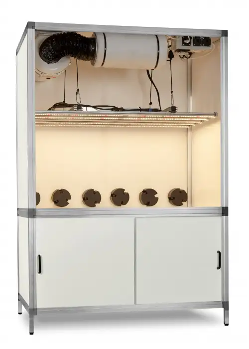 Bonanza G-bars 400W