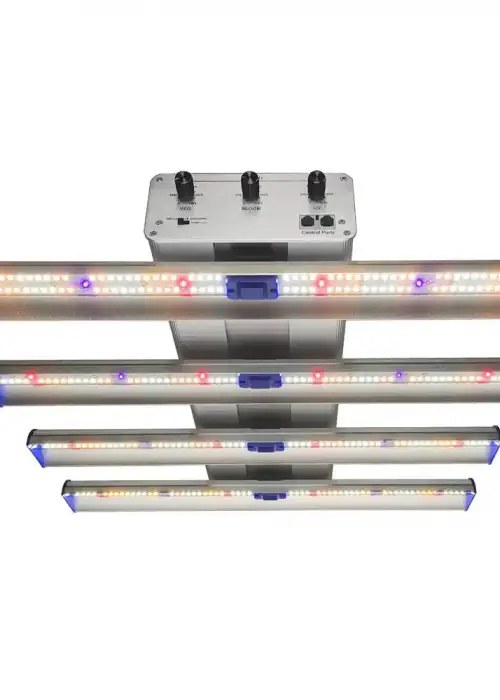 Hellion 250W VS3 LED