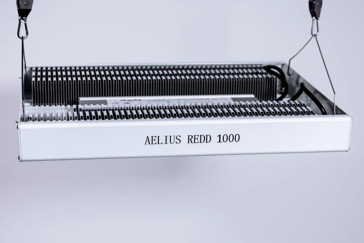Aelius REDD