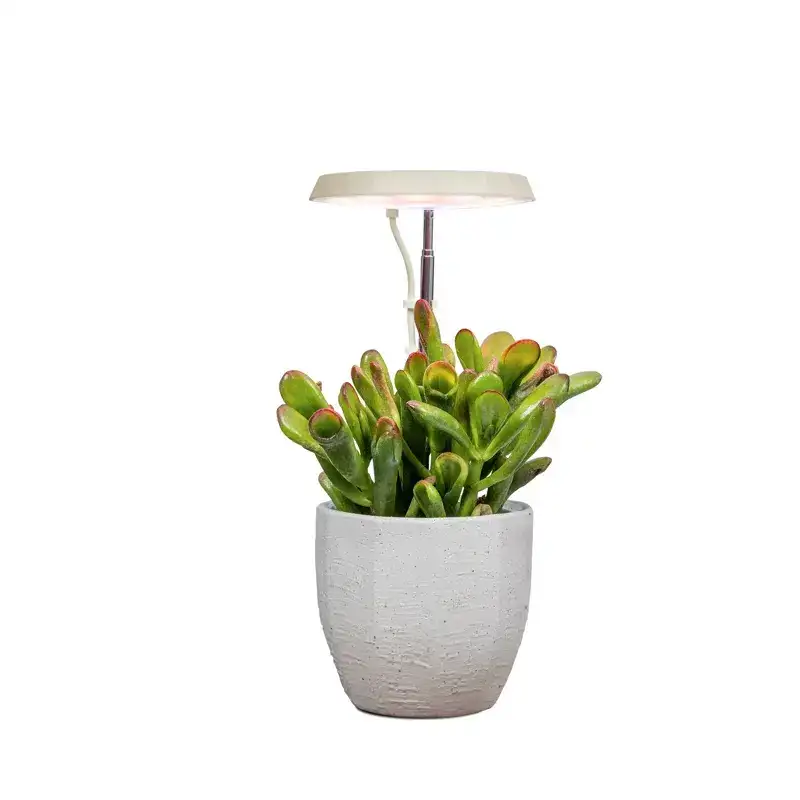 AeroGarden Stem