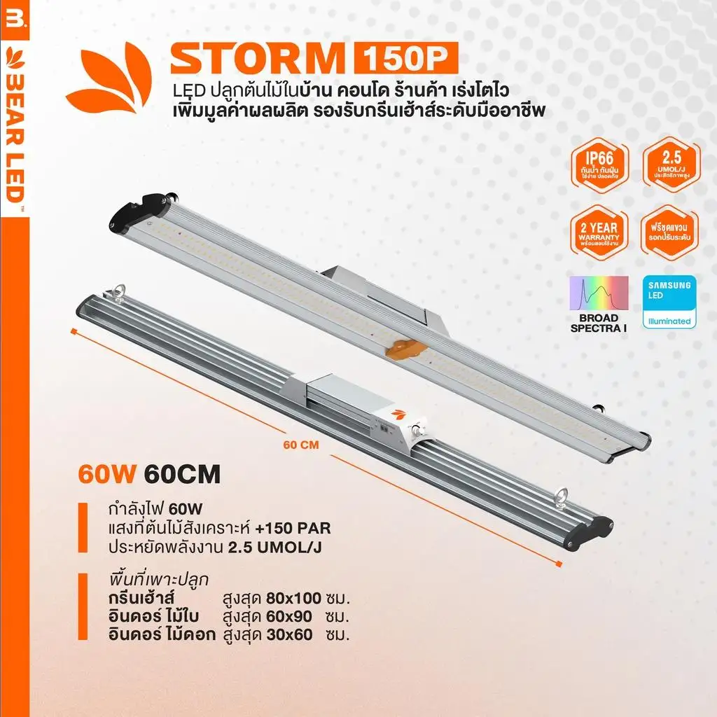 Storm 150PE 60W, 250PE 100W