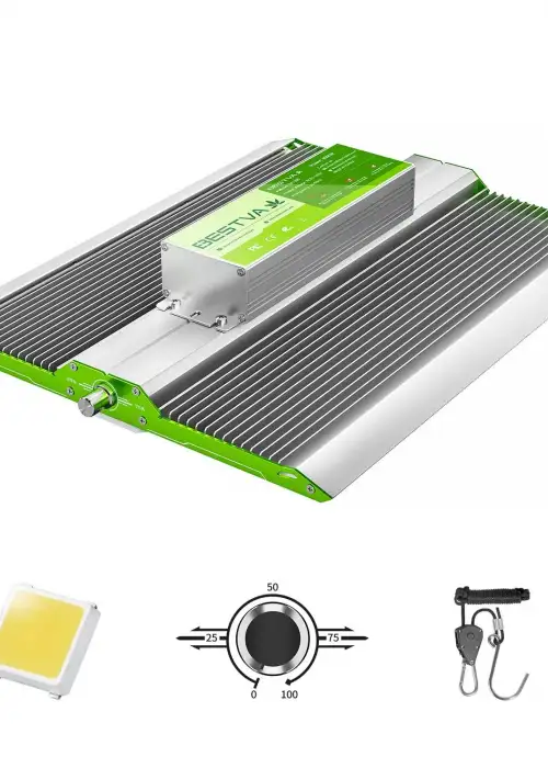 BP1000