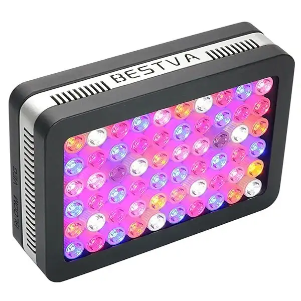 Elite 600W