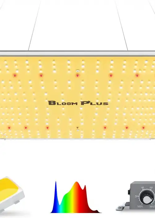 XP1500 LED