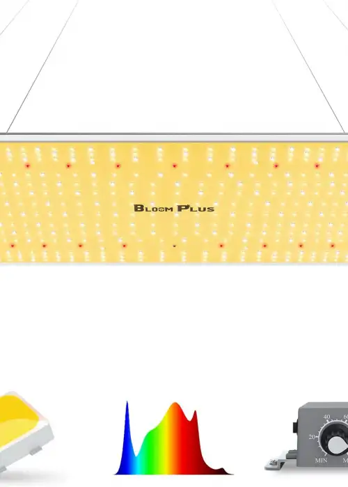 XP2500 LED