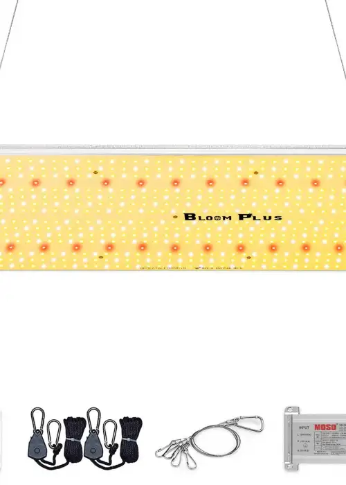 BP2500 LED