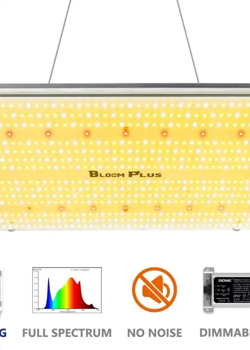 BP1500 LED