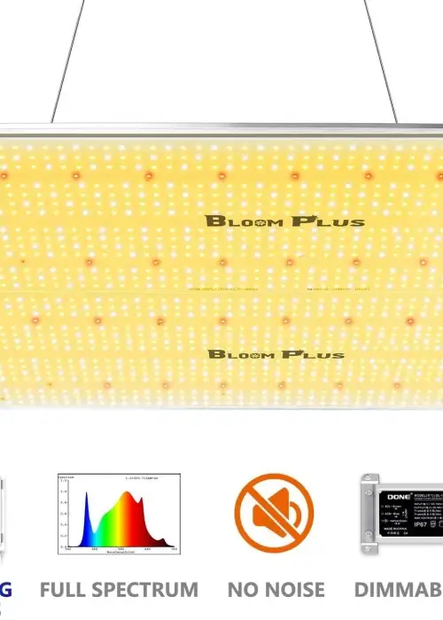 BP3000 LED