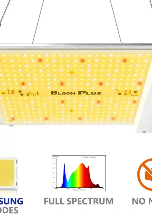 BP1000 LED