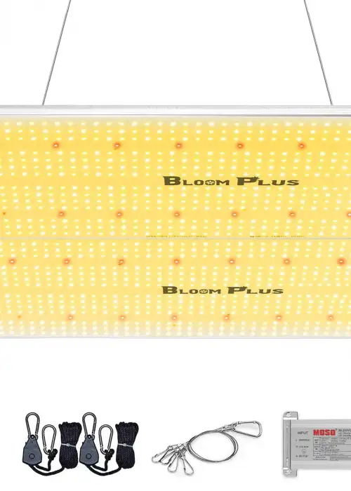 BP4000 LED