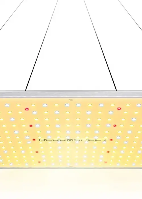 Bloomspect SS1000