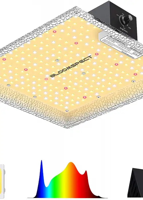 Bloomspect SL600