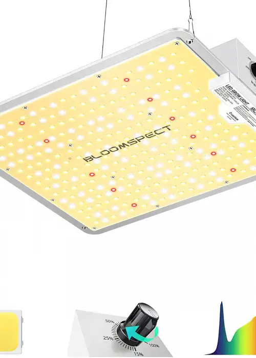 Bloomspect S1000