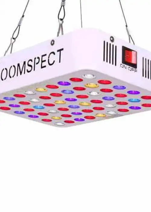 Bloomspect 300W Secondary Lens