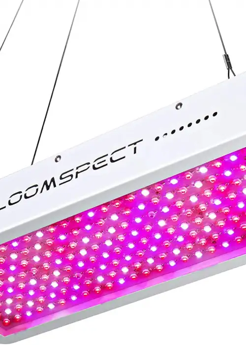 Bloomspect 2000W