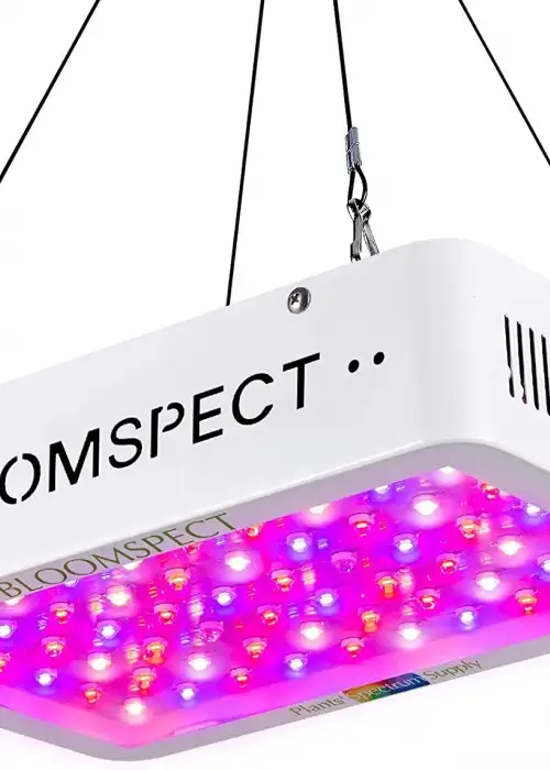 Bloomspect 600W