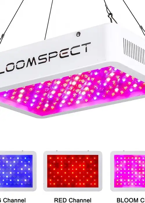 Bloomspect 1000W