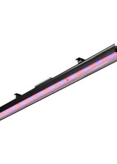 Reflex F