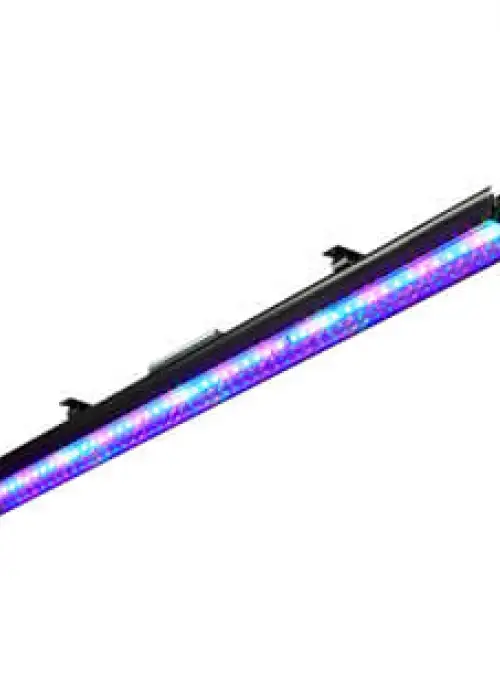 Reflex V