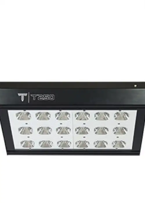 T250