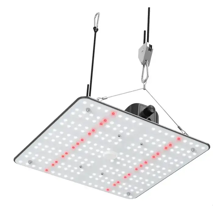 QuantumX 100