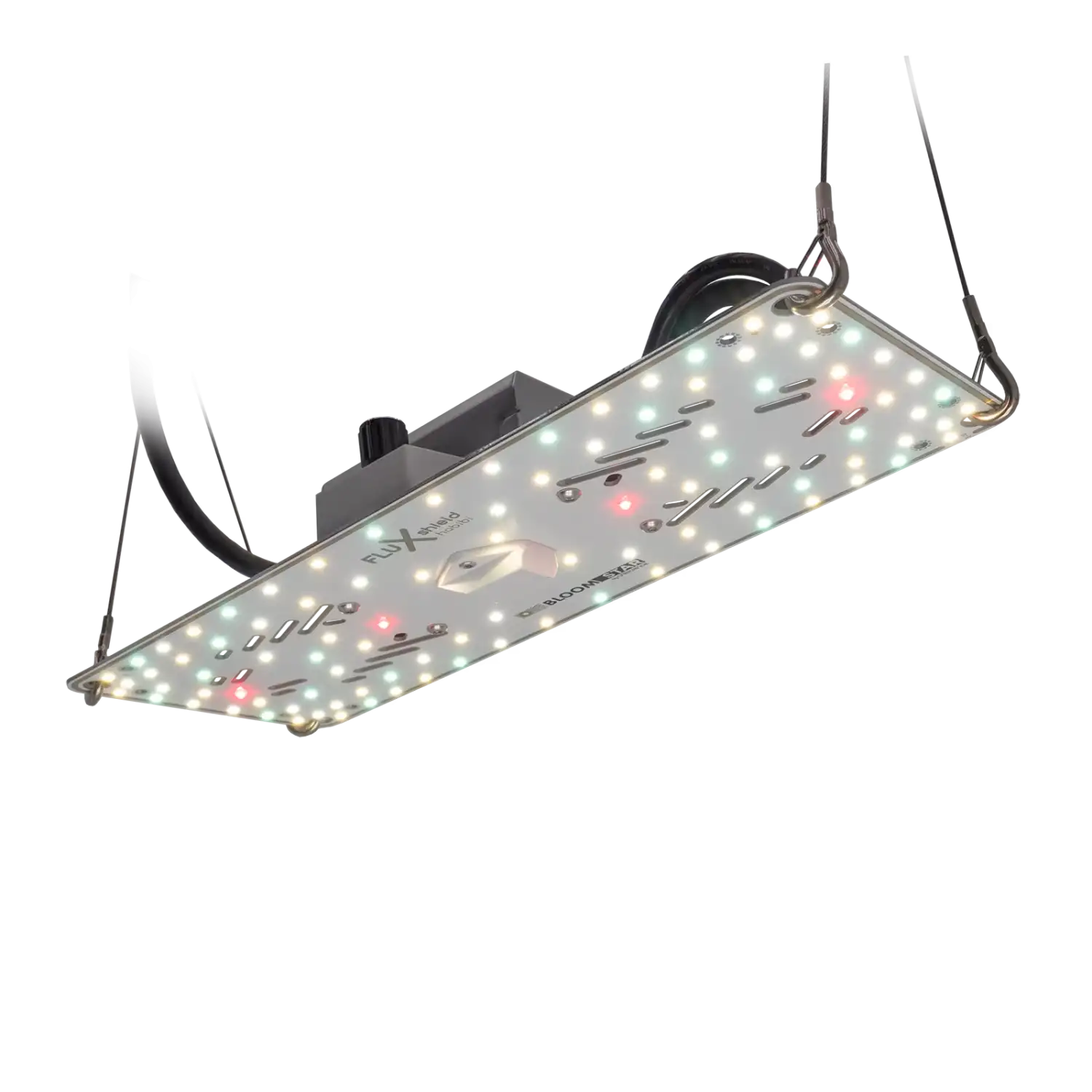FLUXshield Habibi 150