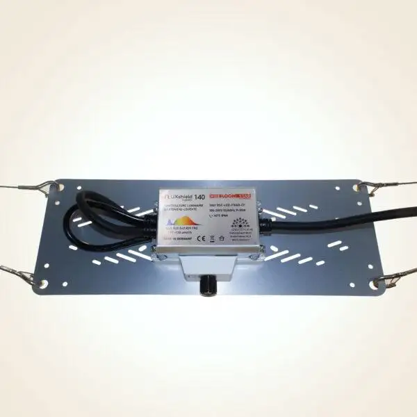 FLUXshield Habibi 135 | 140