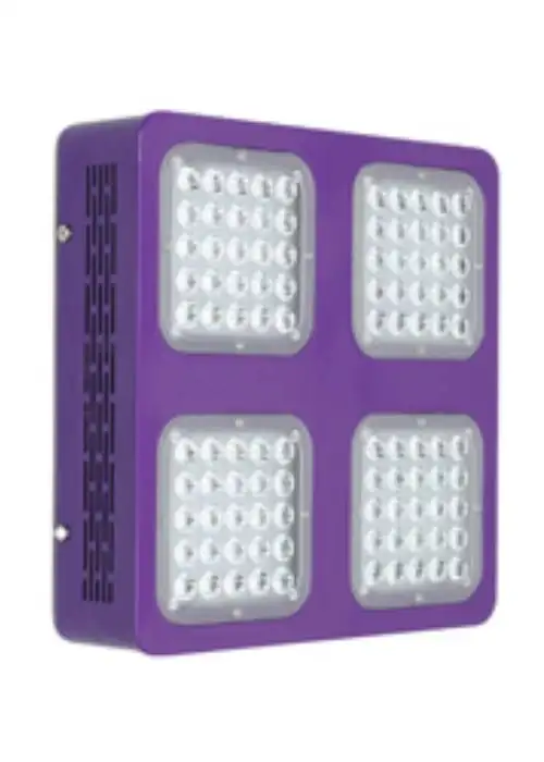 Classic 300w LED