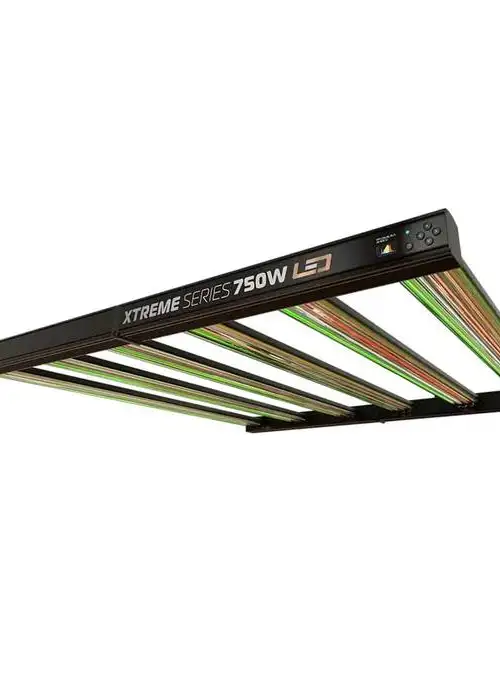 Expert Series 315W CMH