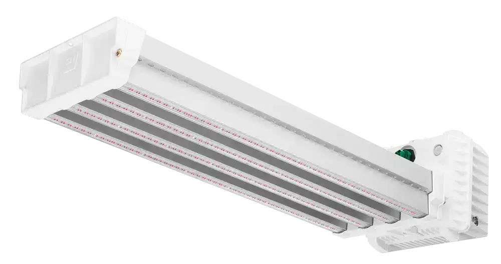 DLI APEX-Series LED Toplight