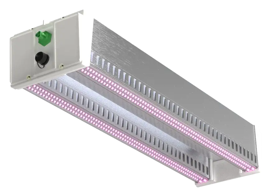 DLI ZENITH ECO
