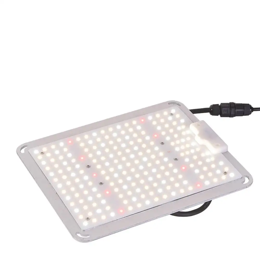 Lite-250