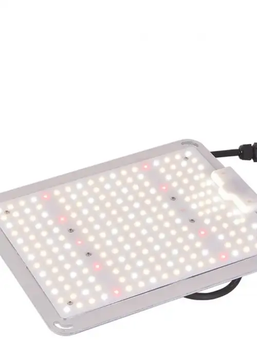 Lite-250