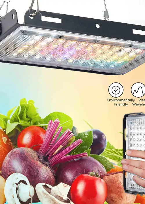 Single Panel 150W