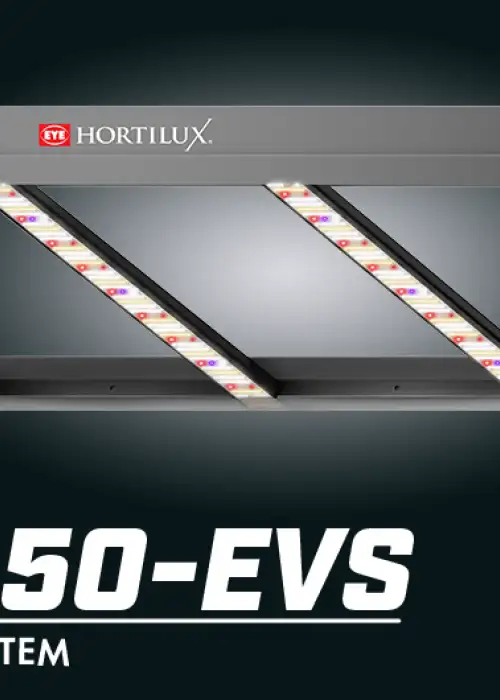 LED 450-EVS