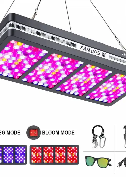 Famurs 3000W Reflector