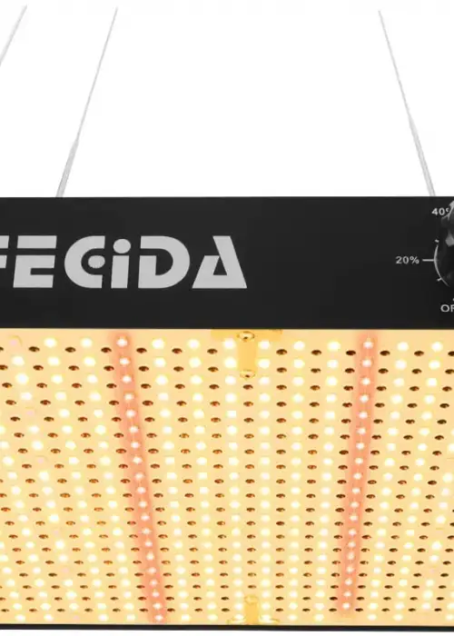 CR600 (600W)
