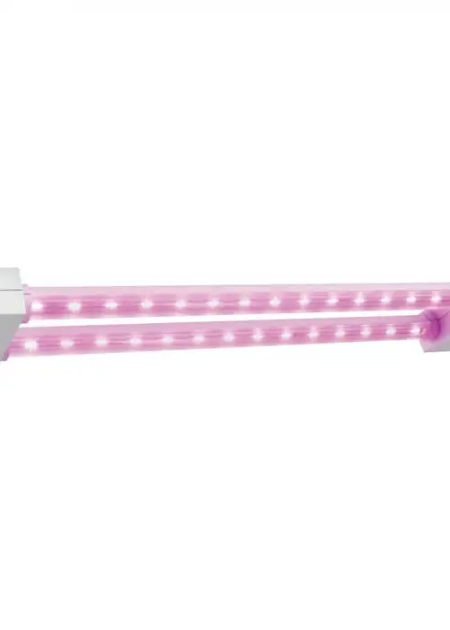 A19 LED Non-Dimmable