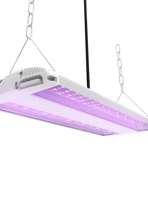 20 inch High Bay Full Spectrum LED