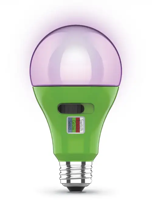 17-Watt E26 A21