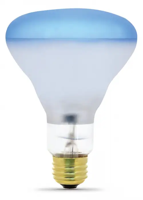 Dimmable R30 Incandescent