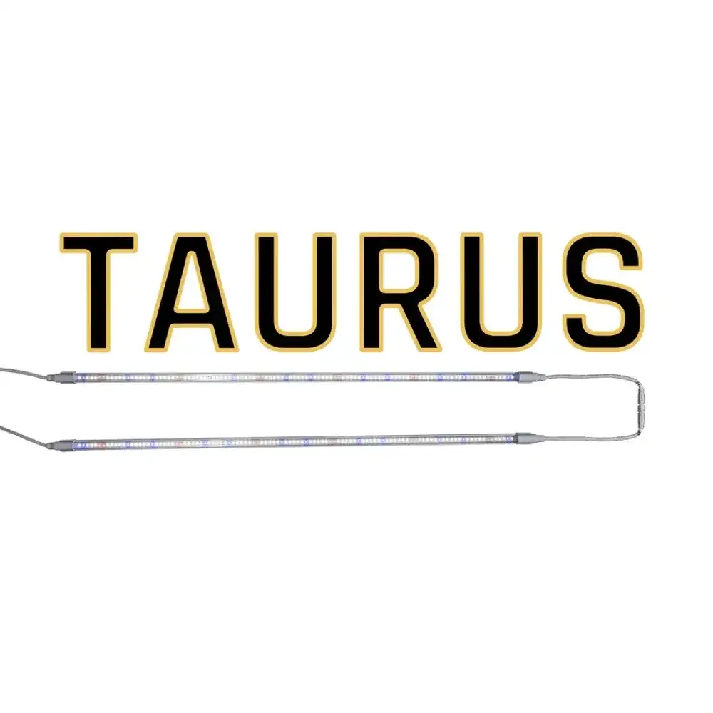 Taurus