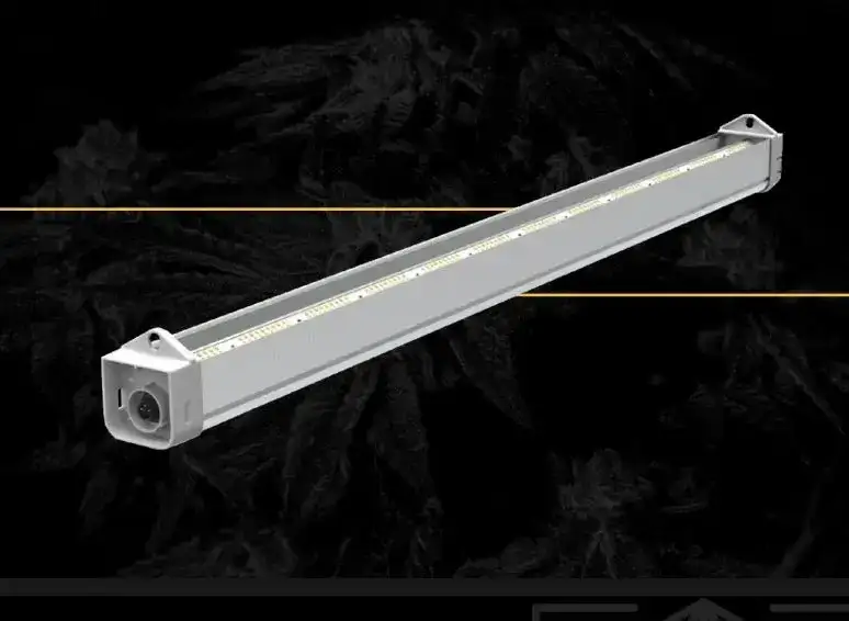 FOHSE Under Canopy