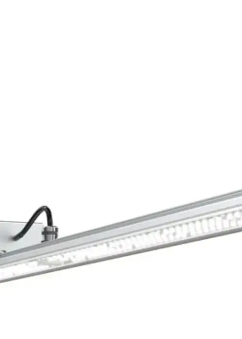 Floraveg 150W