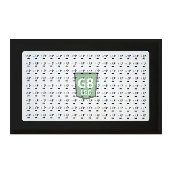 G8-450 BLOOM Only
