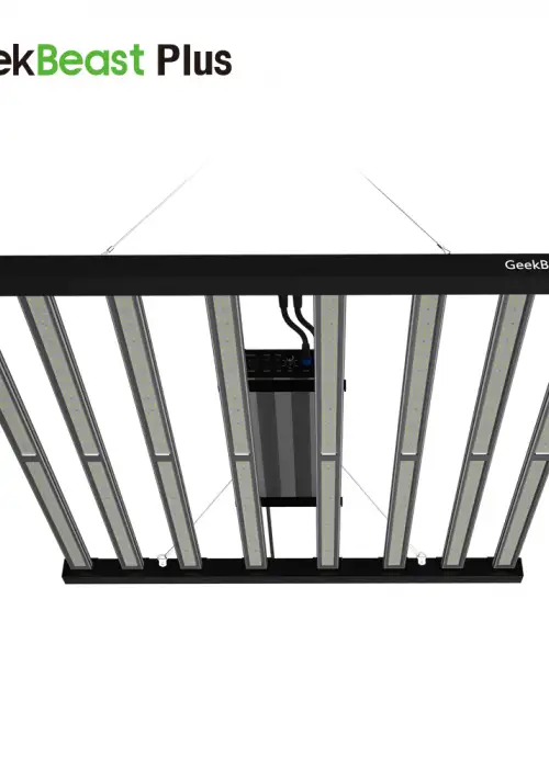 GeekBeast Plus