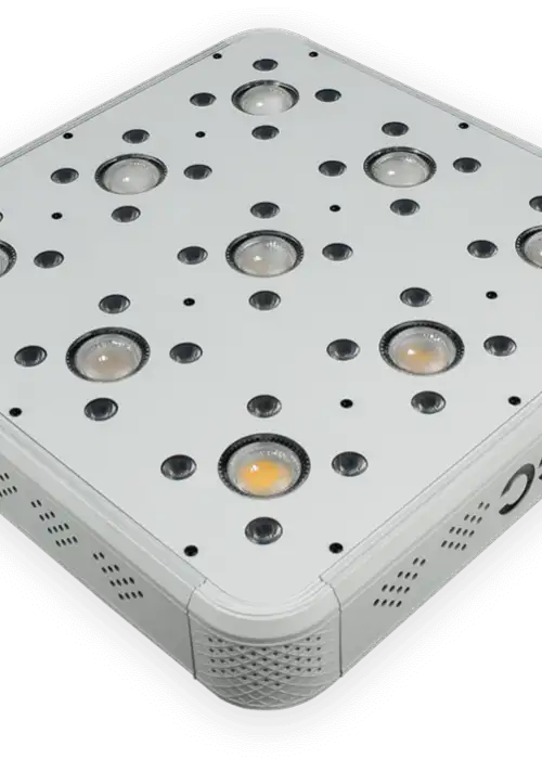 GC 9 COB LED